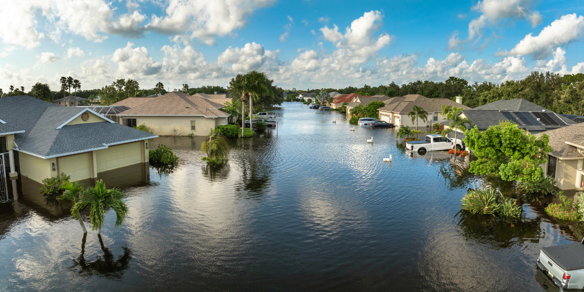 Flooded Neighborhood